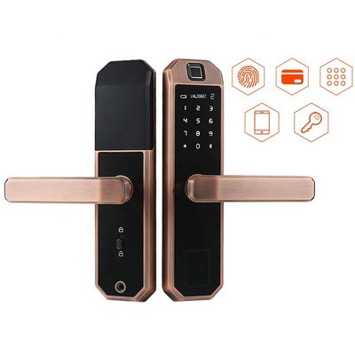 Keyless Entry Smart Wifi Door Lock Keypad APP Control IC Card Wifi Connected Door Lock