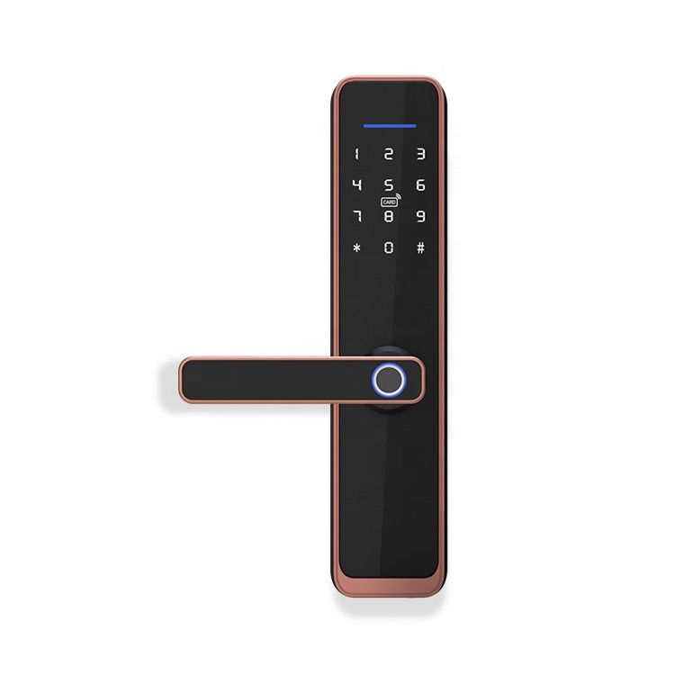Electric Tuya APP Smart Wifi Door Lock Digital Biometric Fingerprint Door Lock